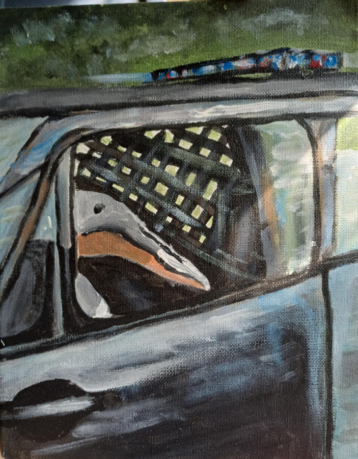 Pelican under arrest